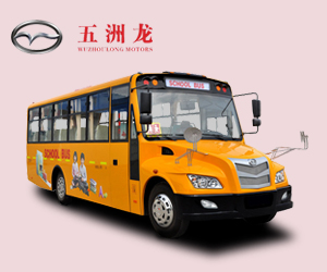 五洲龙